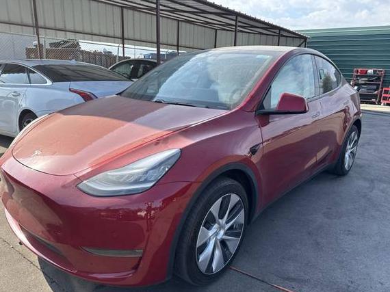 TESLA MODEL Y 2020 5YJYGDEE1LF058635 image